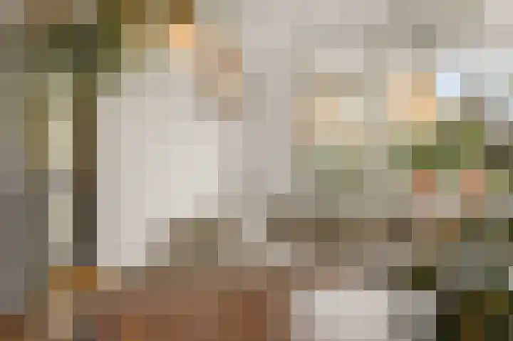Hortensiastraat 6 Rosmalen thumbnail 5