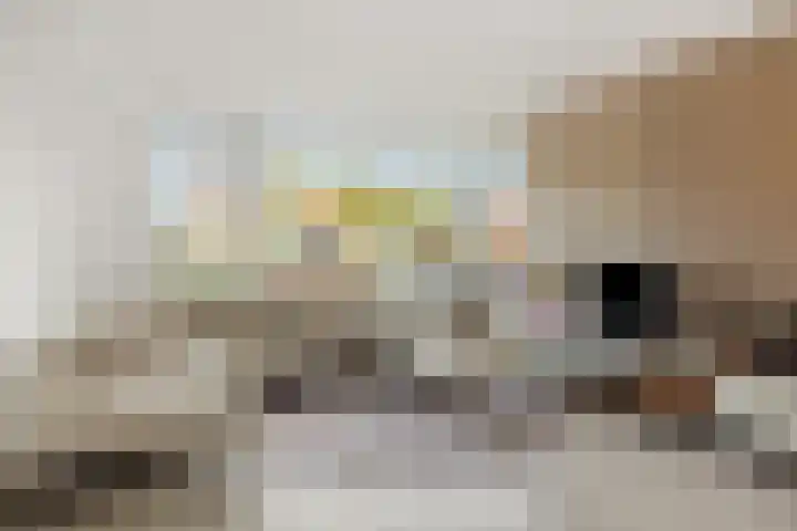 Hortensiastraat 6 Rosmalen thumbnail 6