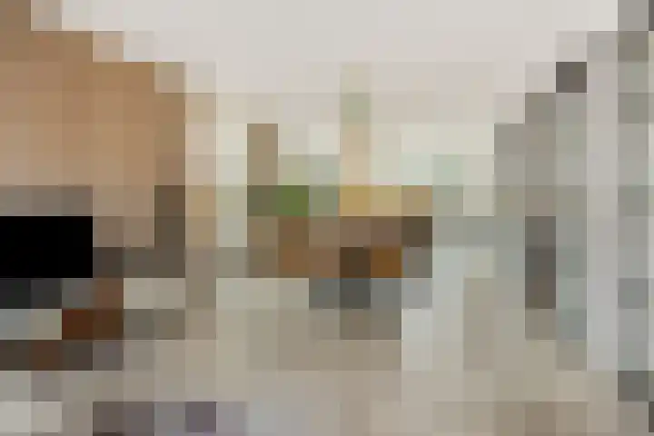 Hortensiastraat 6 Rosmalen thumbnail 7