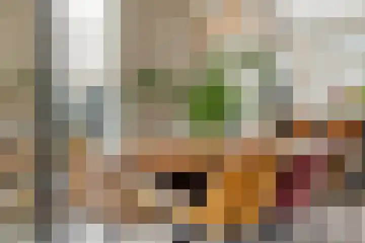 Hortensiastraat 6 Rosmalen thumbnail 8