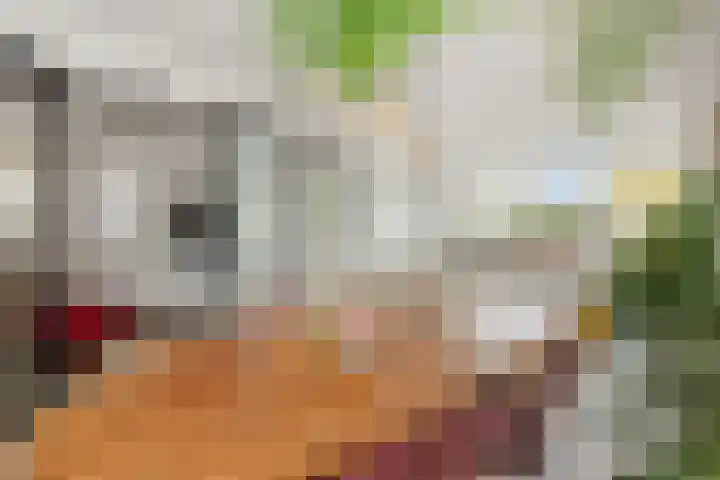 Hortensiastraat 6 Rosmalen thumbnail 9