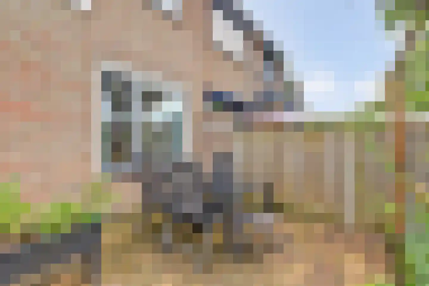 Hortensiastraat 6 Zwijndrecht thumbnail 30