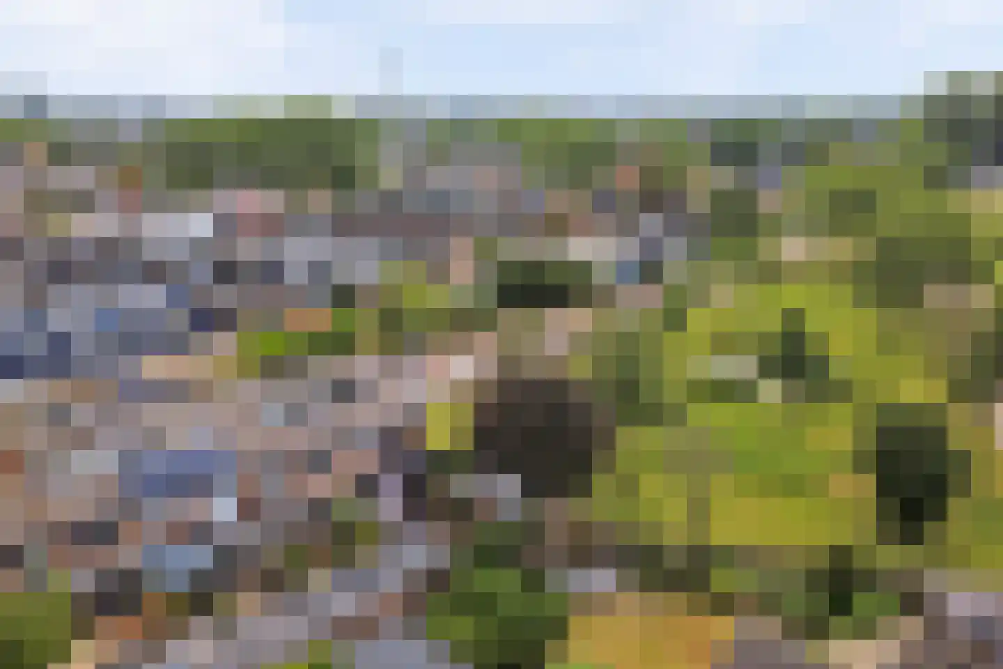 Hortensiastraat 6 Zwijndrecht thumbnail 36