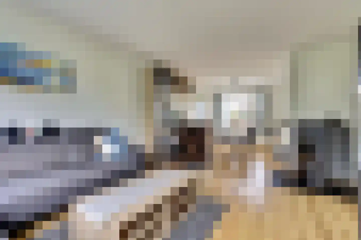 Hortensiastraat 6 Zwijndrecht thumbnail 9