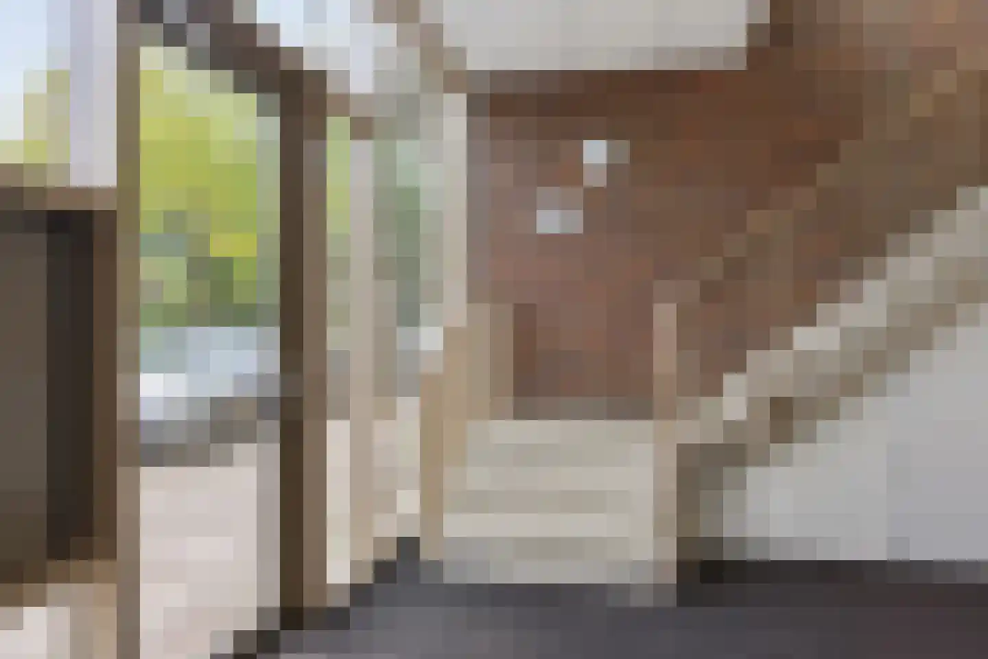 Hortensiastraat 60 Enschede thumbnail 30