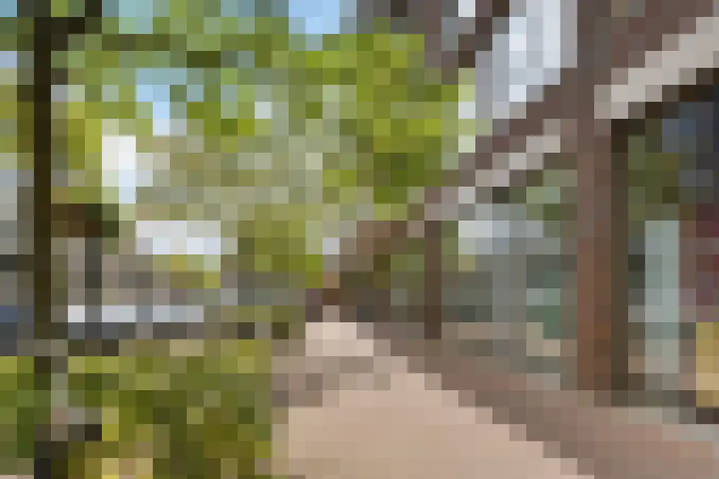 Hortensiastraat 60 Enschede thumbnail 34