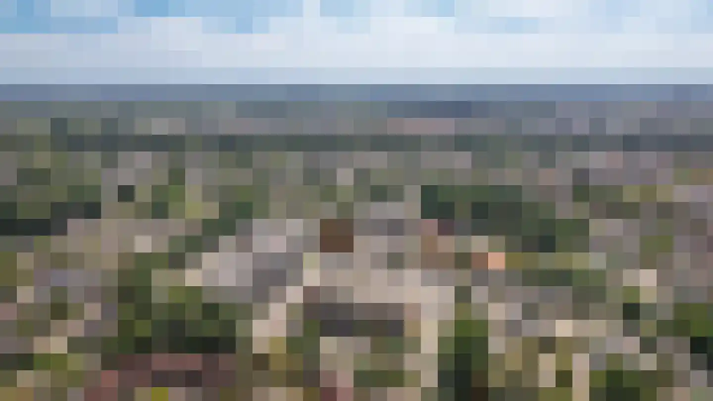 Hortensiastraat 60 Enschede thumbnail 39