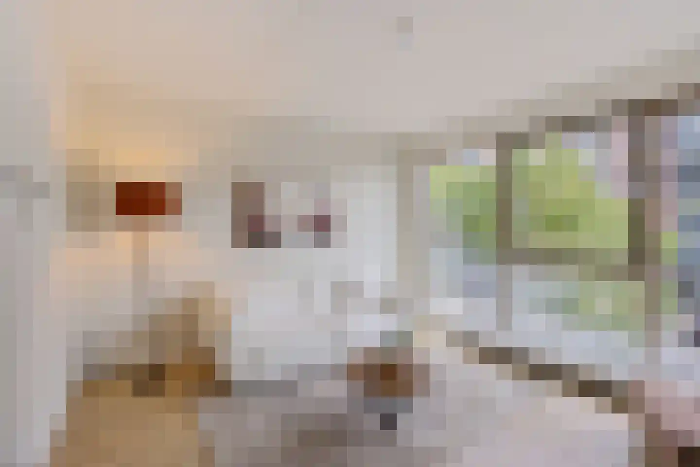 Hortensiastraat 60 Enschede thumbnail 6