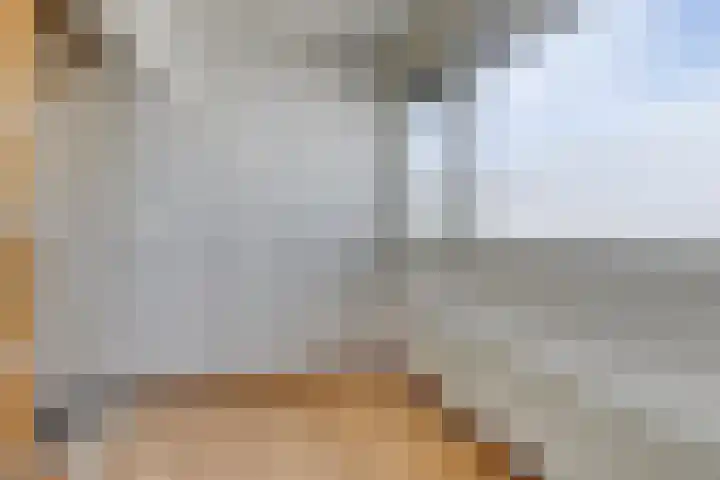 Hortensiastraat 63 Rotterdam thumbnail 20