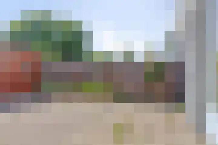Hortensiastraat 63 Rotterdam thumbnail 24