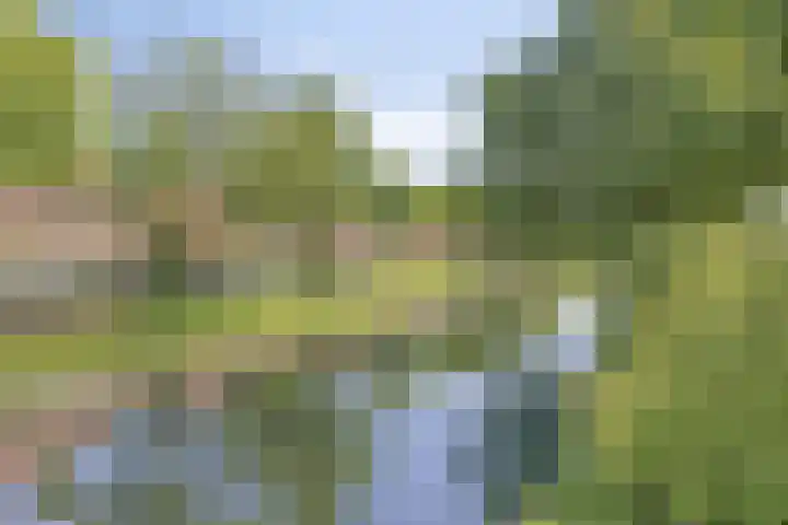Hortensiastraat 63 Rotterdam thumbnail 26