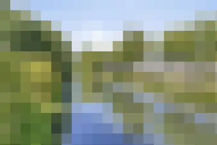 Hortensiastraat 63 Rotterdam thumbnail 27