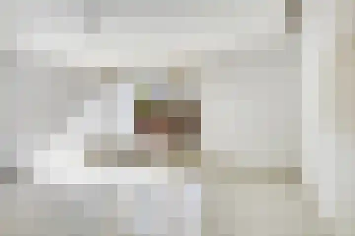 Hortensiastraat 63 Rotterdam thumbnail 5
