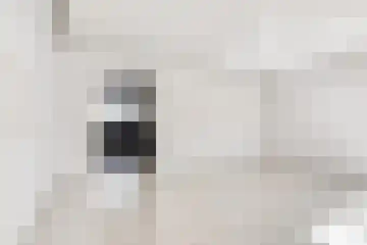 Hortensiastraat 63 Rotterdam thumbnail 8