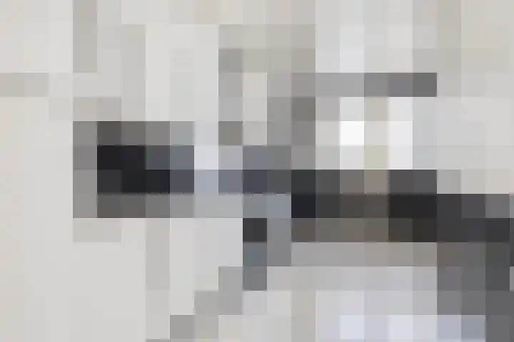 Hortensiastraat 63 Rotterdam thumbnail 9