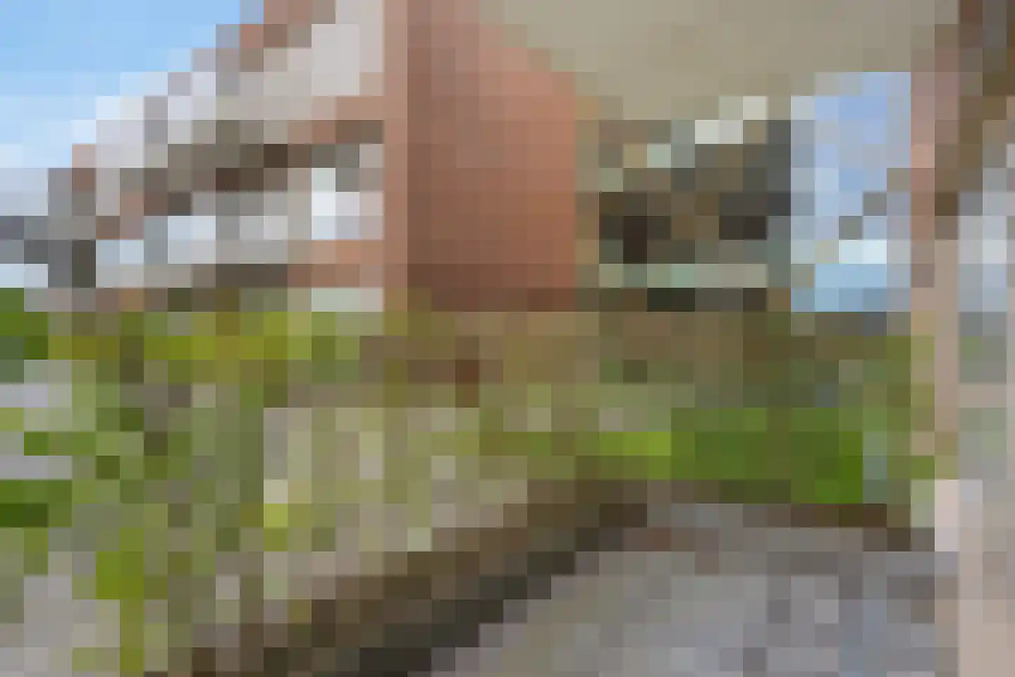 Hortensiastraat 66 Enschede thumbnail 16