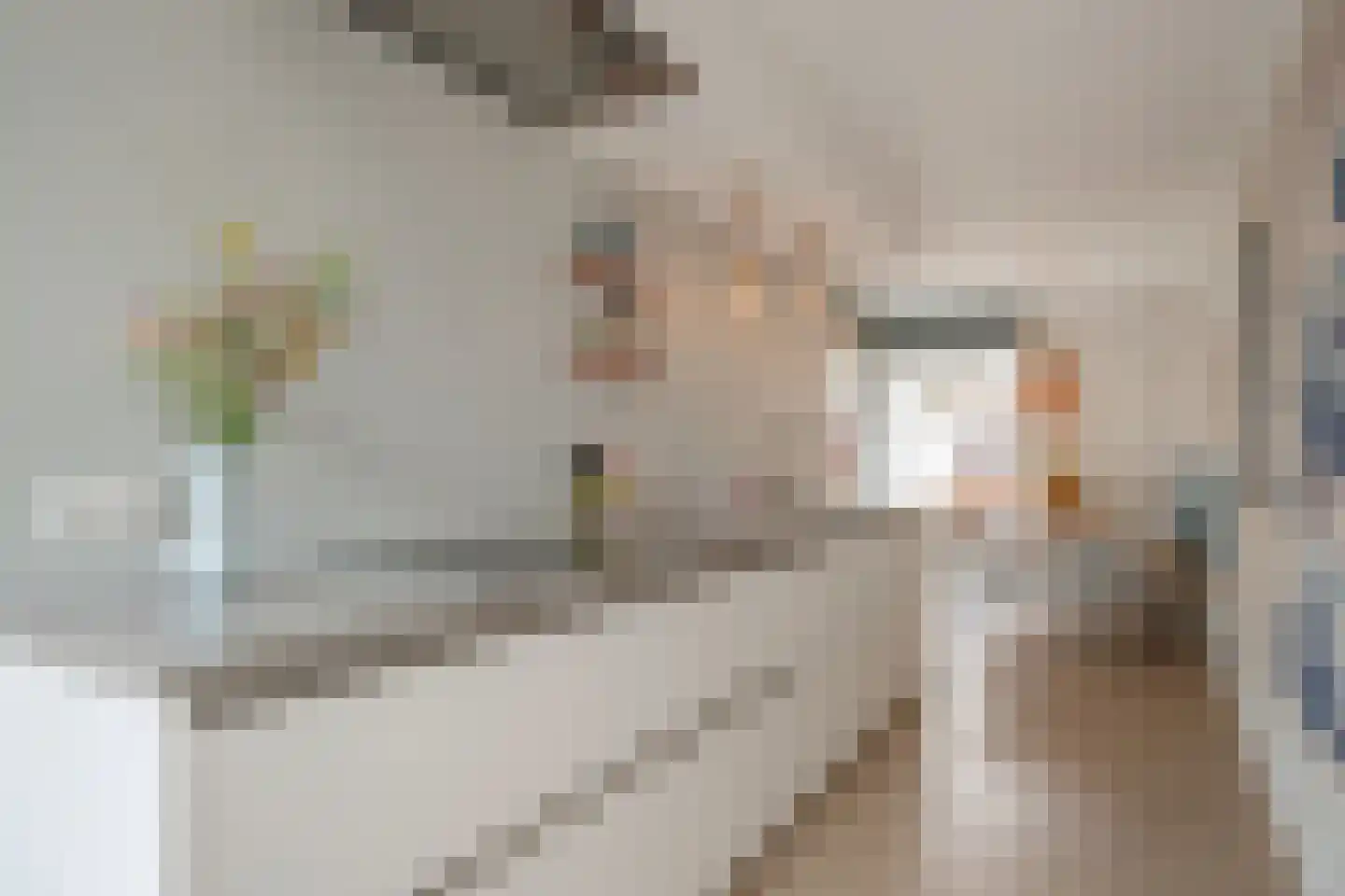 Hortensiastraat 72 Den Haag thumbnail 12