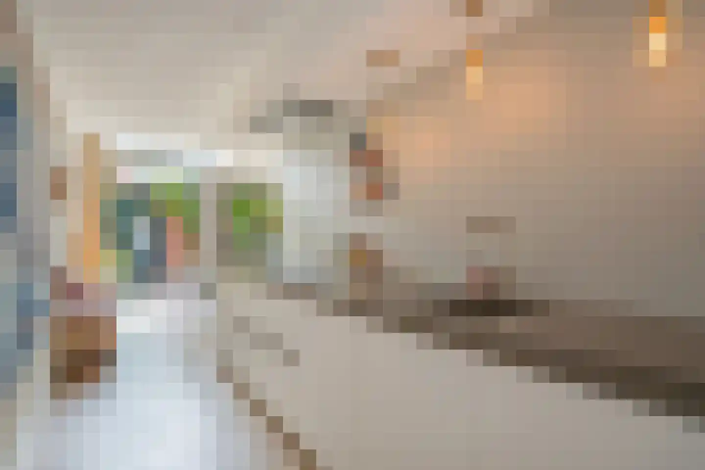 Hortensiastraat 72 Den Haag thumbnail 14