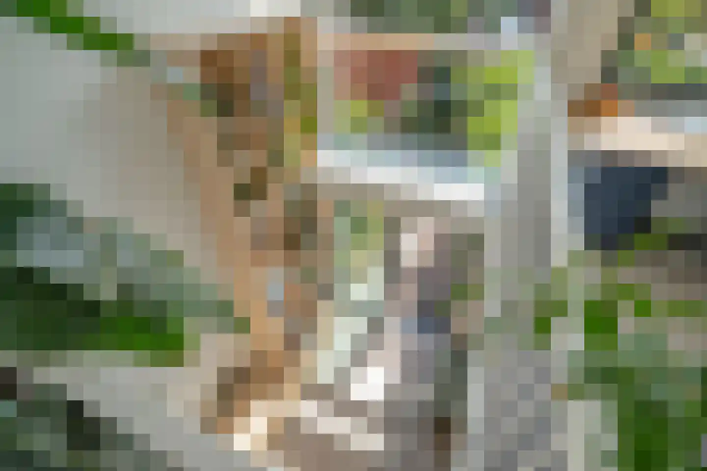 Hortensiastraat 72 Den Haag thumbnail 26