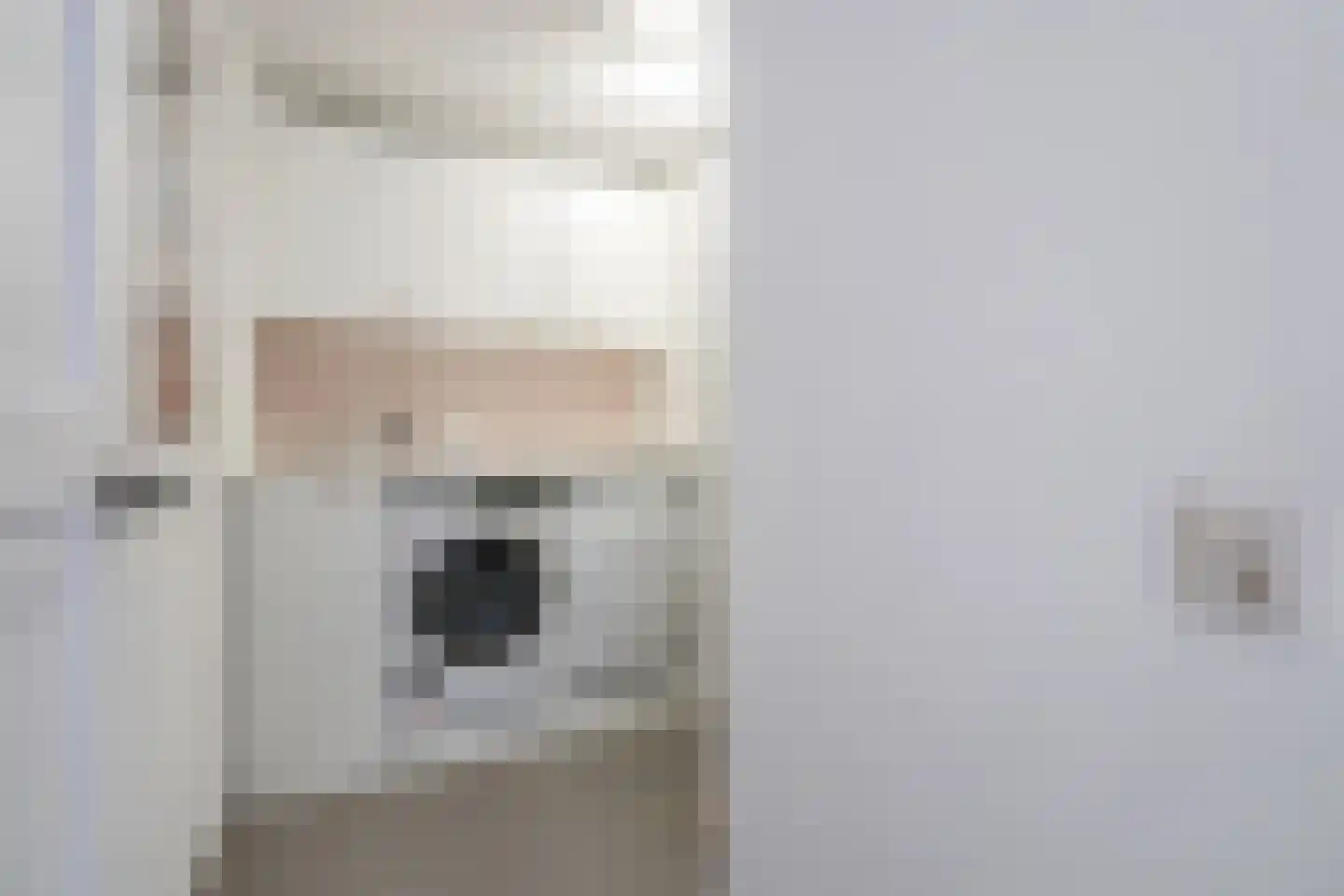 Hortensiastraat 72 Den Haag thumbnail 28