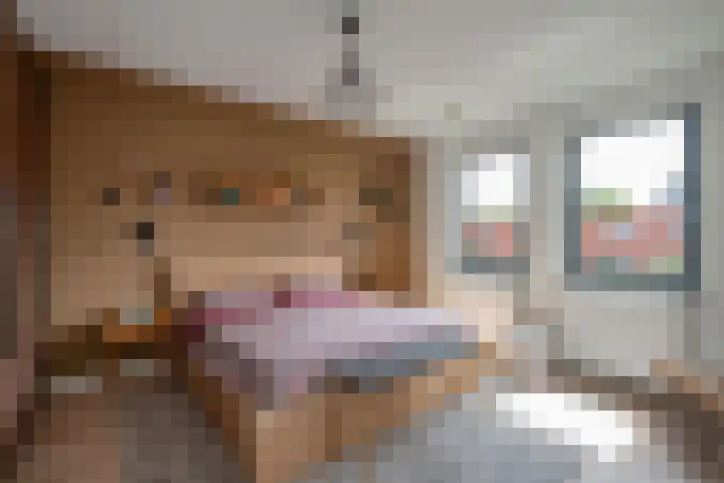 Hortensiastraat 72 Den Haag thumbnail 32