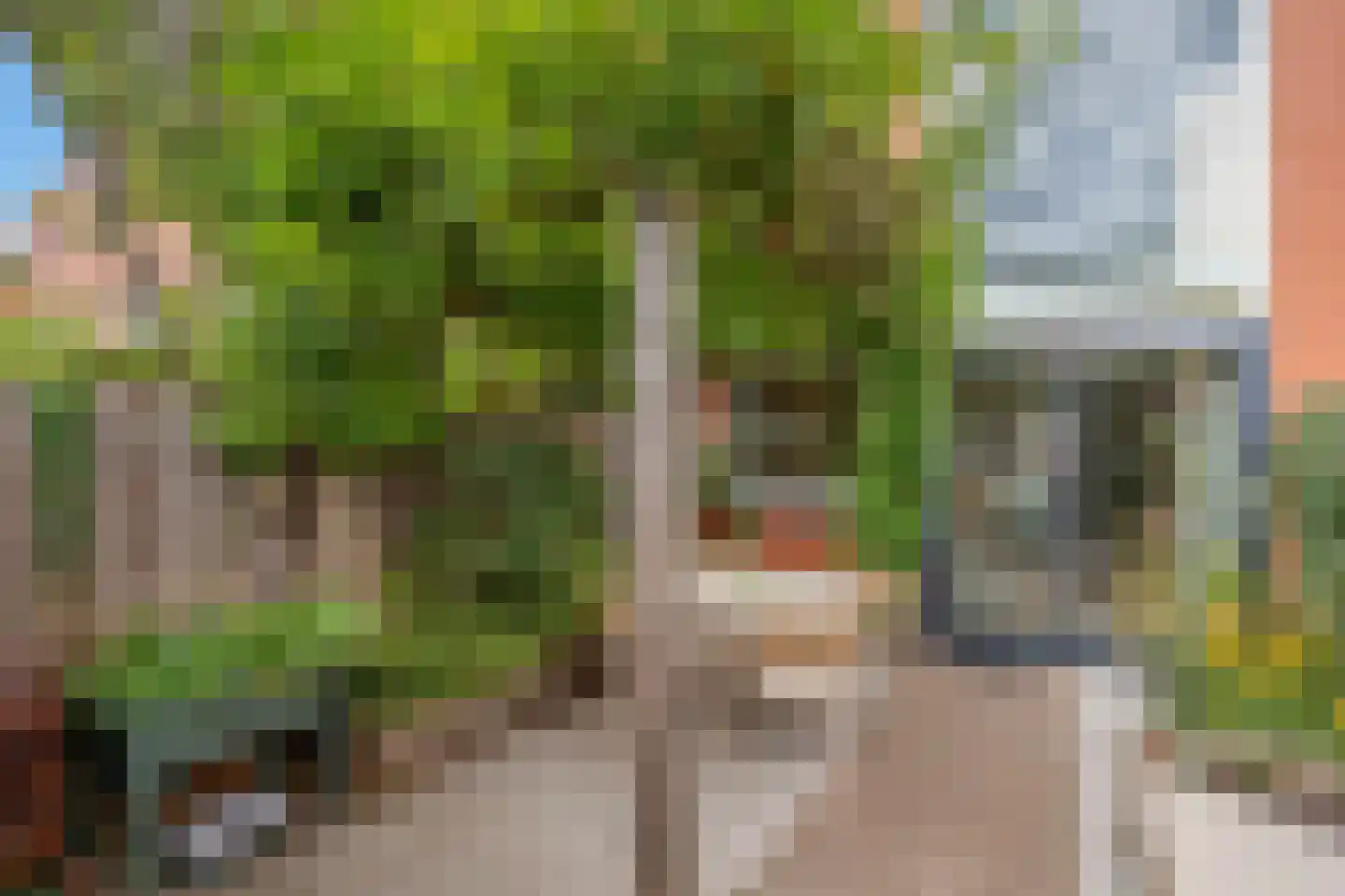 Hortensiastraat 72 Den Haag thumbnail 36