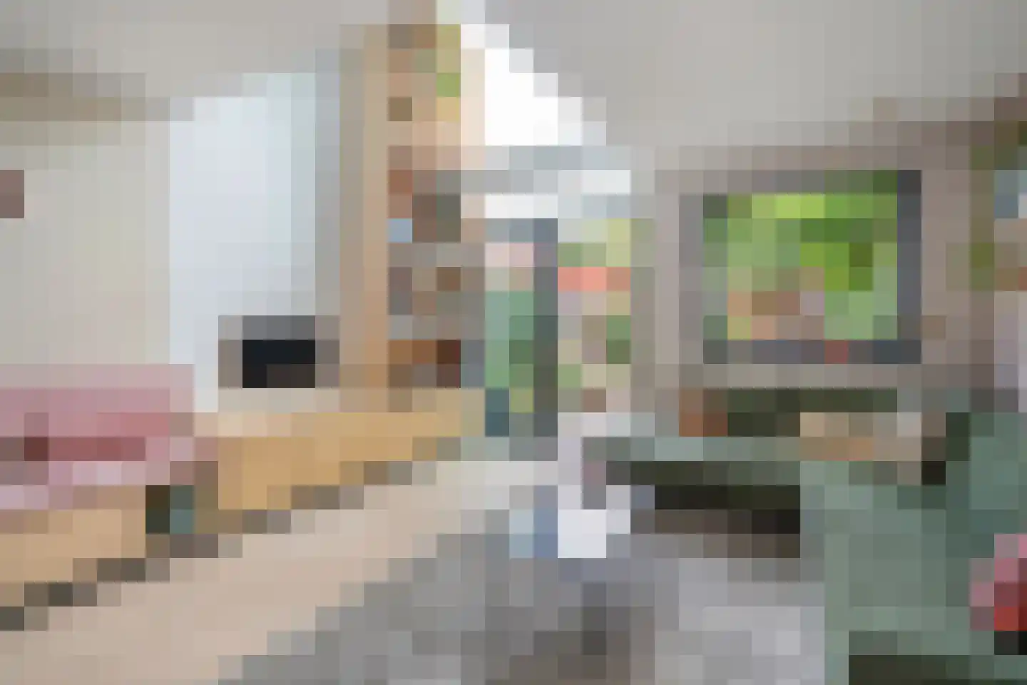 Hortensiastraat 72 Den Haag thumbnail 8