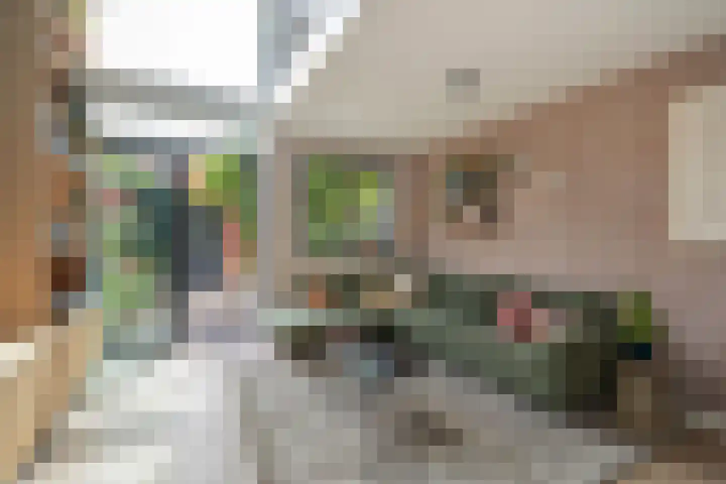 Hortensiastraat 72 Den Haag thumbnail 9