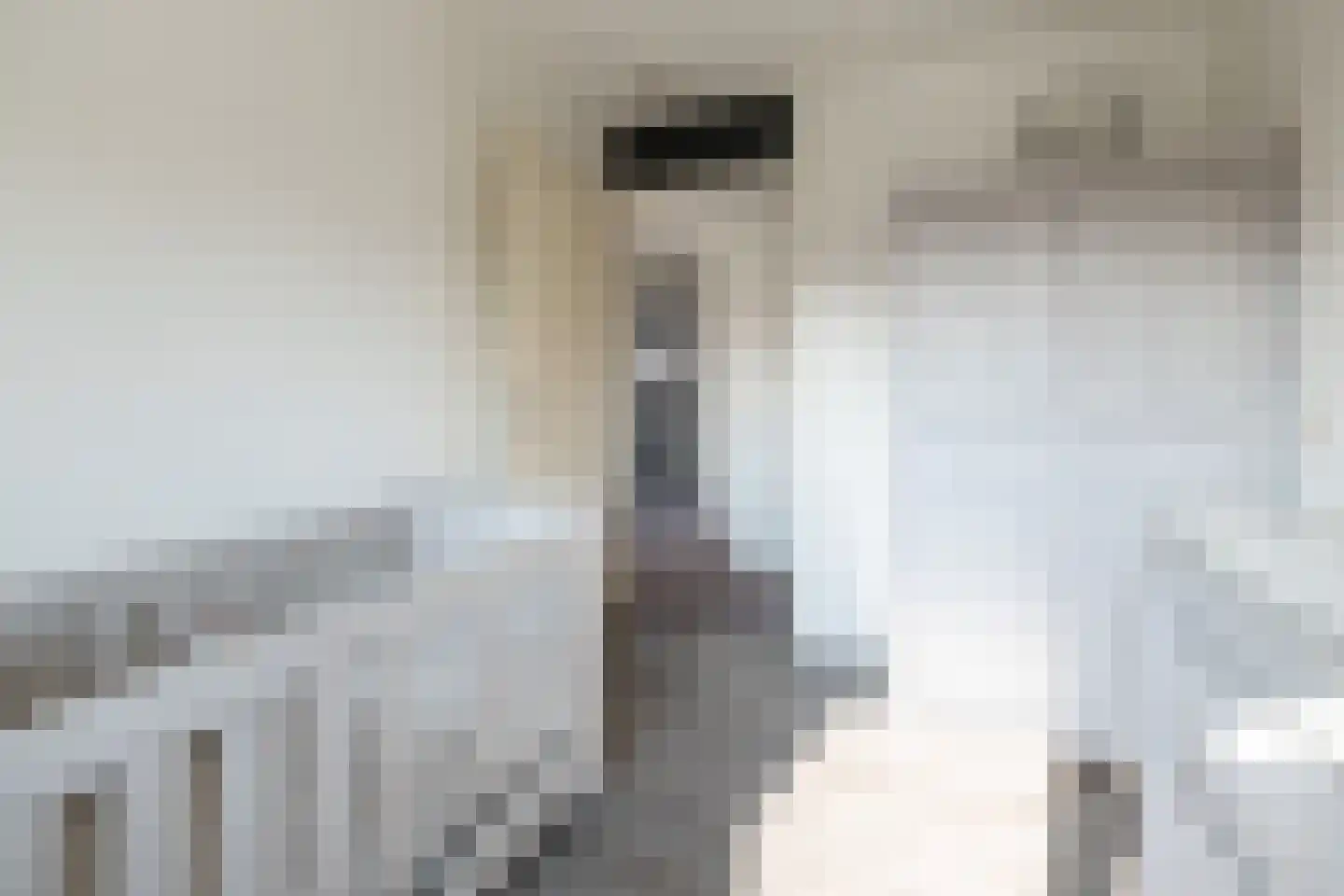 Hortensiastraat 76 Barneveld thumbnail 30