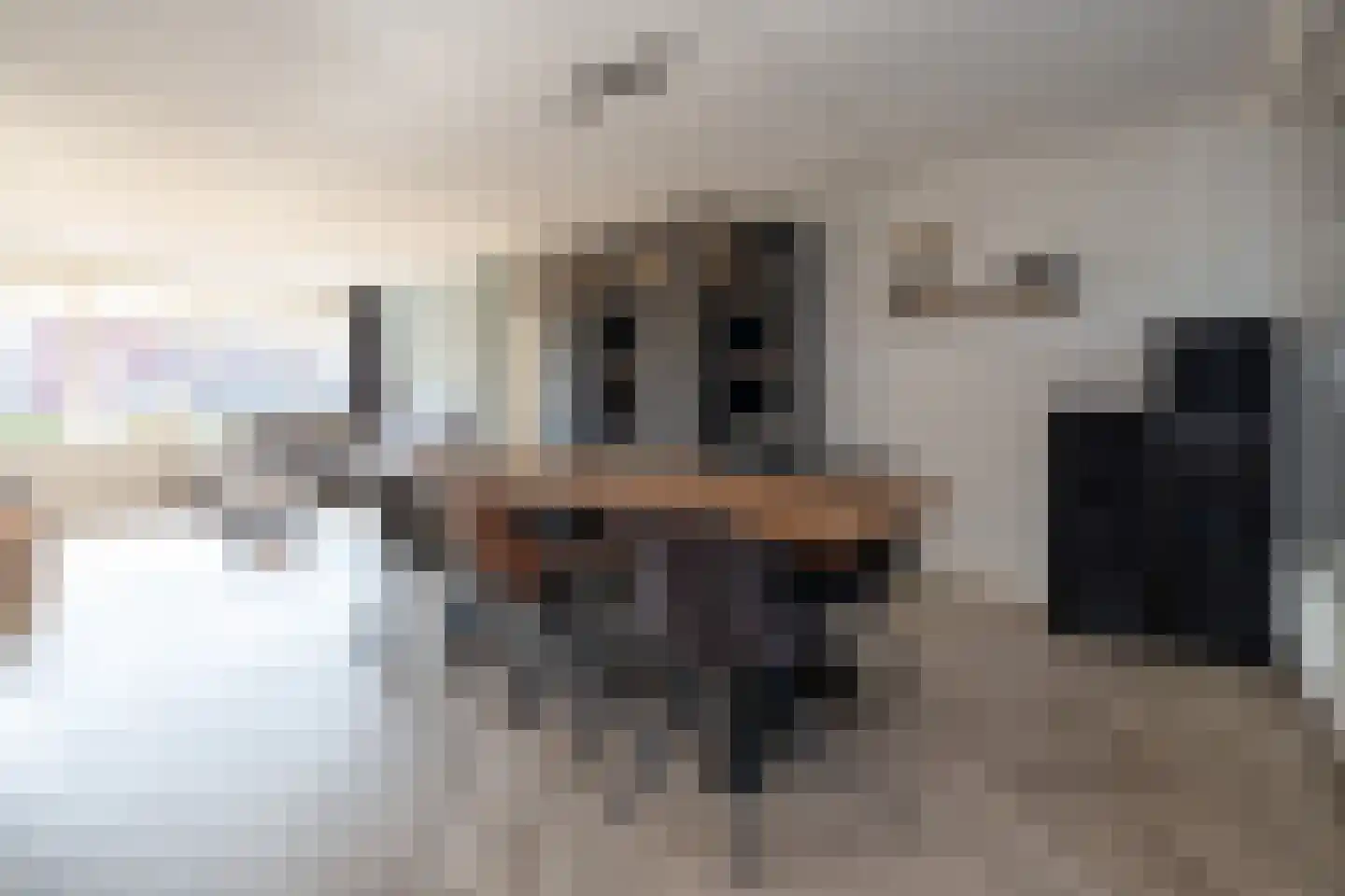 Hortensiastraat 76 Barneveld thumbnail 7