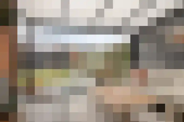Hortensiastraat 78 Barneveld thumbnail 24