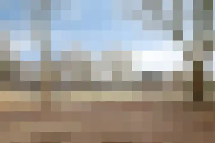 Hortensiastraat 78 Barneveld thumbnail 31