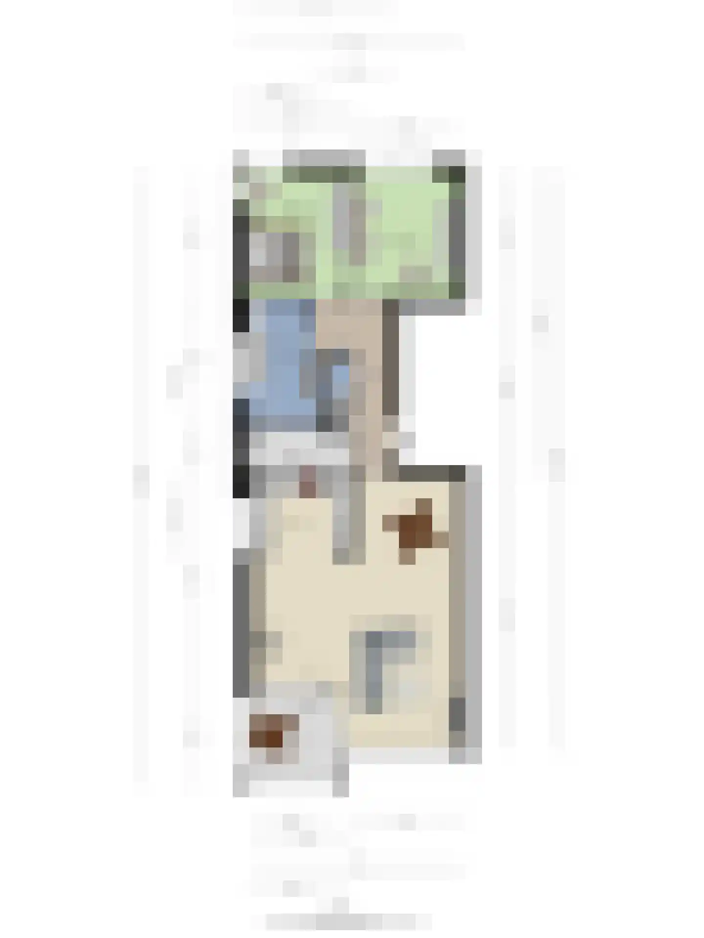 Hortensiastraat 8 A Sint-Michielsgestel thumbnail 33