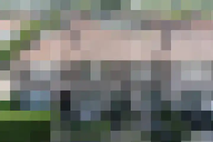 Hortensiastraat 8 Alphen aan den Rijn foto 2