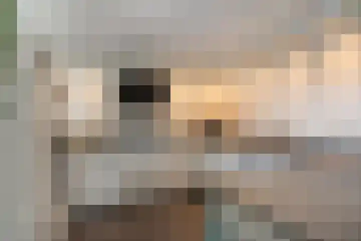 Hortensiastraat 8 C Sint-Michielsgestel thumbnail 10