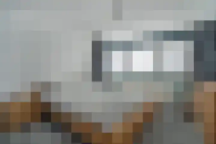 Hortensiastraat 8 C Sint-Michielsgestel thumbnail 13