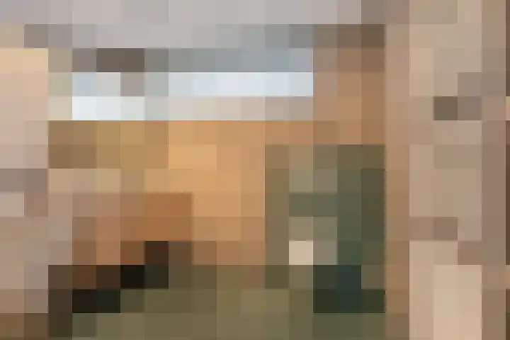 Hortensiastraat 8 C Sint-Michielsgestel thumbnail 17