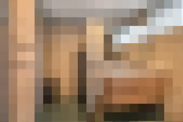 Hortensiastraat 8 C Sint-Michielsgestel thumbnail 18