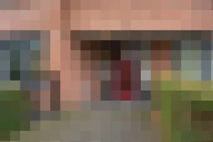 Hortensiastraat 8 C Sint-Michielsgestel thumbnail 21