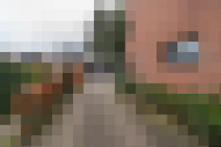 Hortensiastraat 8 C Sint-Michielsgestel thumbnail 22