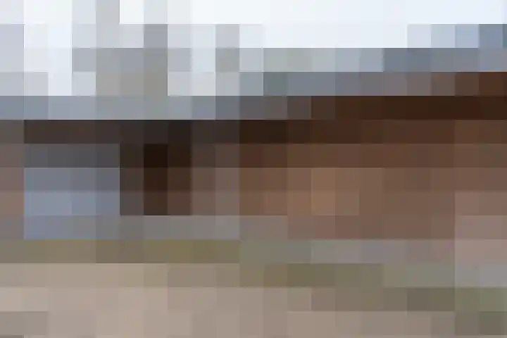 Hortensiastraat 8 C Sint-Michielsgestel thumbnail 24