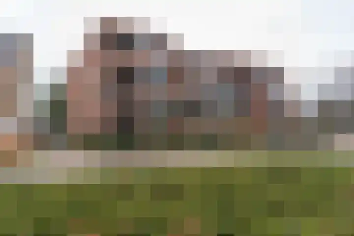 Hortensiastraat 8 C Sint-Michielsgestel thumbnail 26