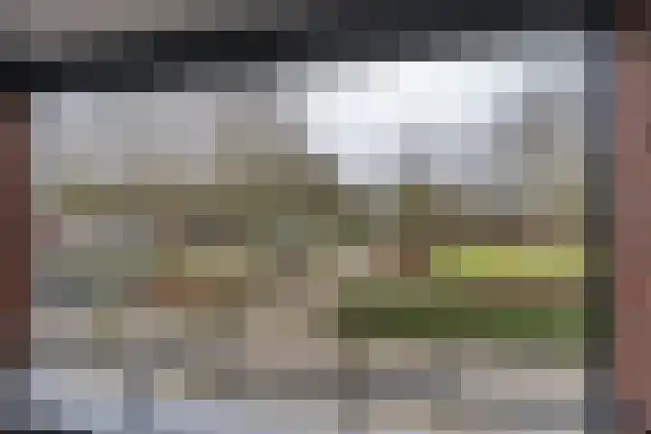 Hortensiastraat 8 C Sint-Michielsgestel thumbnail 5