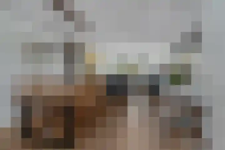 Hortensiastraat 8 C Sint-Michielsgestel thumbnail 6