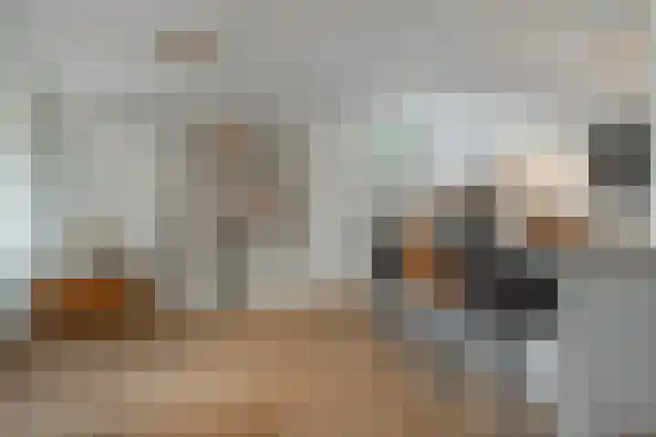 Hortensiastraat 8 C Sint-Michielsgestel thumbnail 8