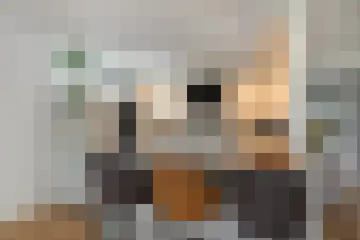 Hortensiastraat 8 C Sint-Michielsgestel thumbnail 9