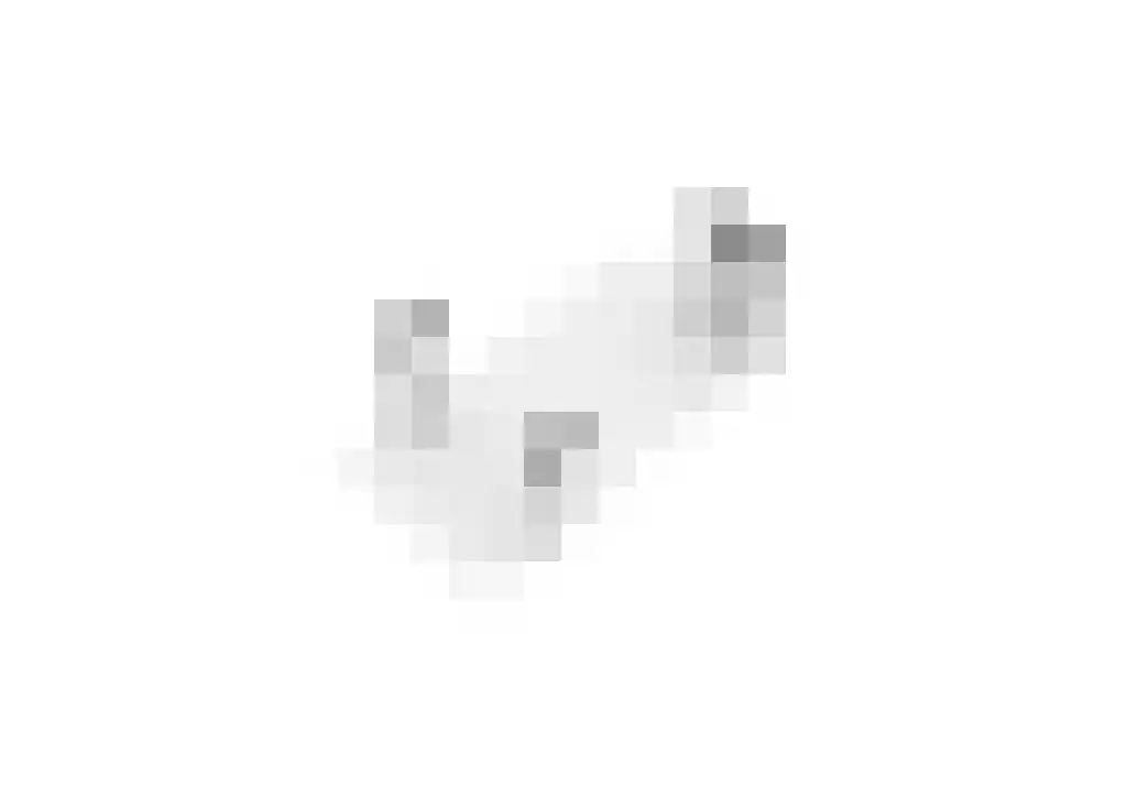 Hortensiastraat 84 Venlo thumbnail 37