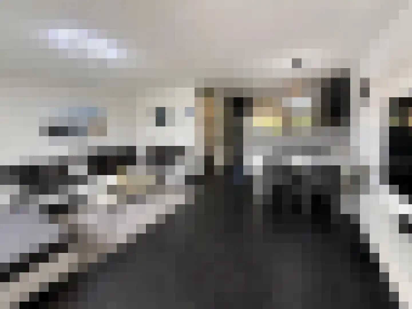 Hortensiastraat 84 Venlo thumbnail 4