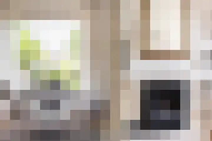 Hortensiastraat 88 Zwolle thumbnail 12