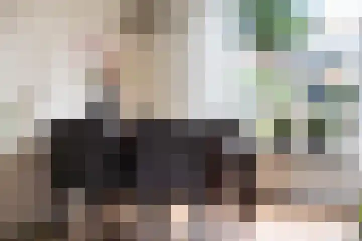 Hortensiastraat 88 Zwolle thumbnail 14